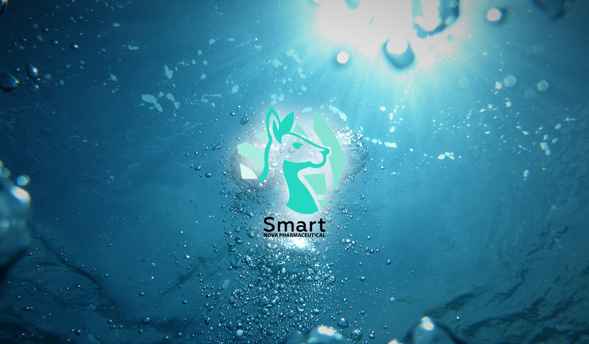 Mejora tu hidratación: cómo hacerlo de forma correcta